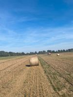 Rundballen Weizenstroh Brandenburg - Wriezen Vorschau