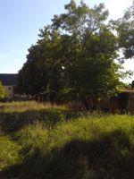 Garten/Erholungsgrundstück im Zentrum Wurzen Sachsen - Wurzen Vorschau