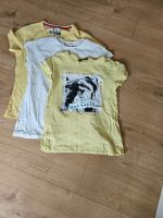 Gr 134/140 T-Shirts McKinley Zara Setpreis 3Stück Niedersachsen - Schüttorf Vorschau