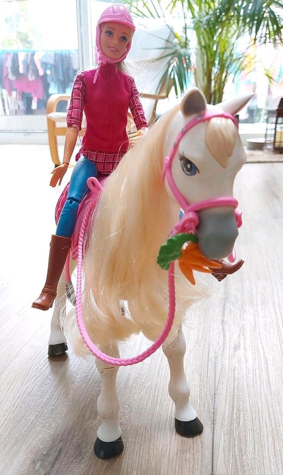 Barbie Dreamhorse in Sponheim