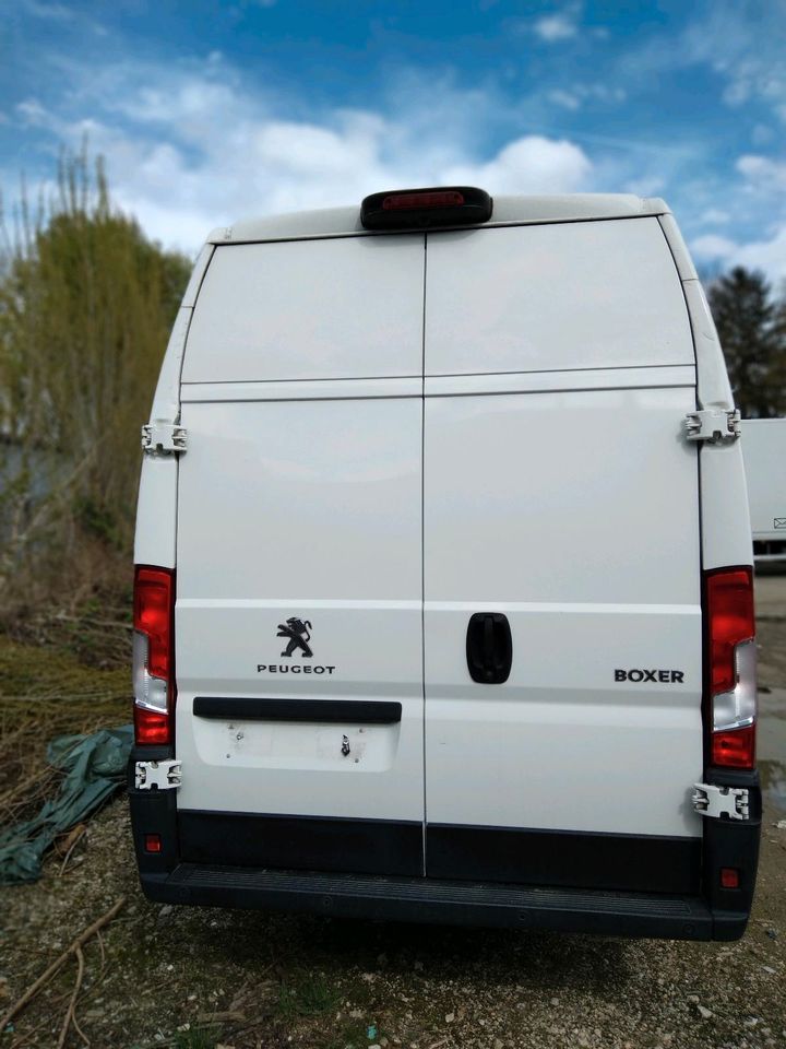 Peugeot boxer  Exta hoch dach und lang in Gladbeck