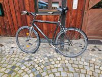 Bergamont Fitnessbike Fahrrad 28 Zoll Freilauf defekt Bayern - Finsing Vorschau