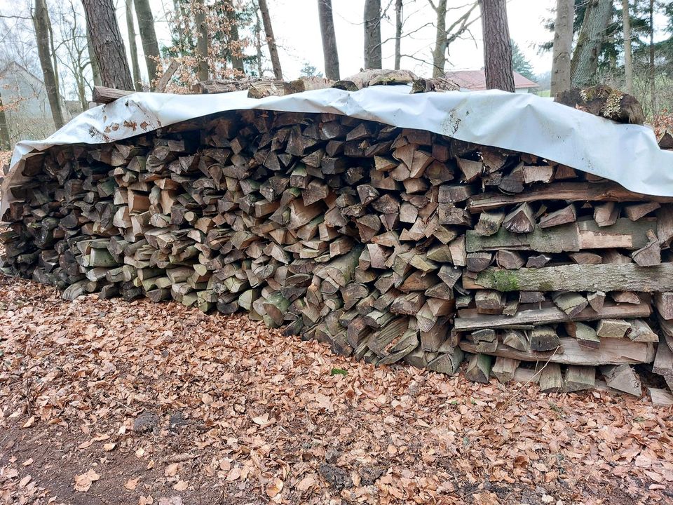 Brennholz zu verkaufen/ kaminofen in Flieden