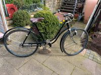 Oldtimer Fahrrad sehr alt restauriert Rheinland-Pfalz - Landau in der Pfalz Vorschau