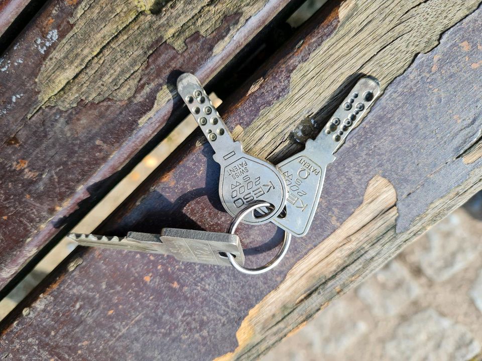Schlüssel gefunden 13.04.24 im Jenischpark in Berlin
