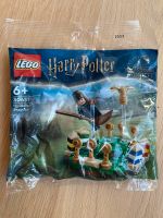 Harry Potter Lego Quidditch Practice 30651 Hamburg Barmbek - Hamburg Barmbek-Süd  Vorschau
