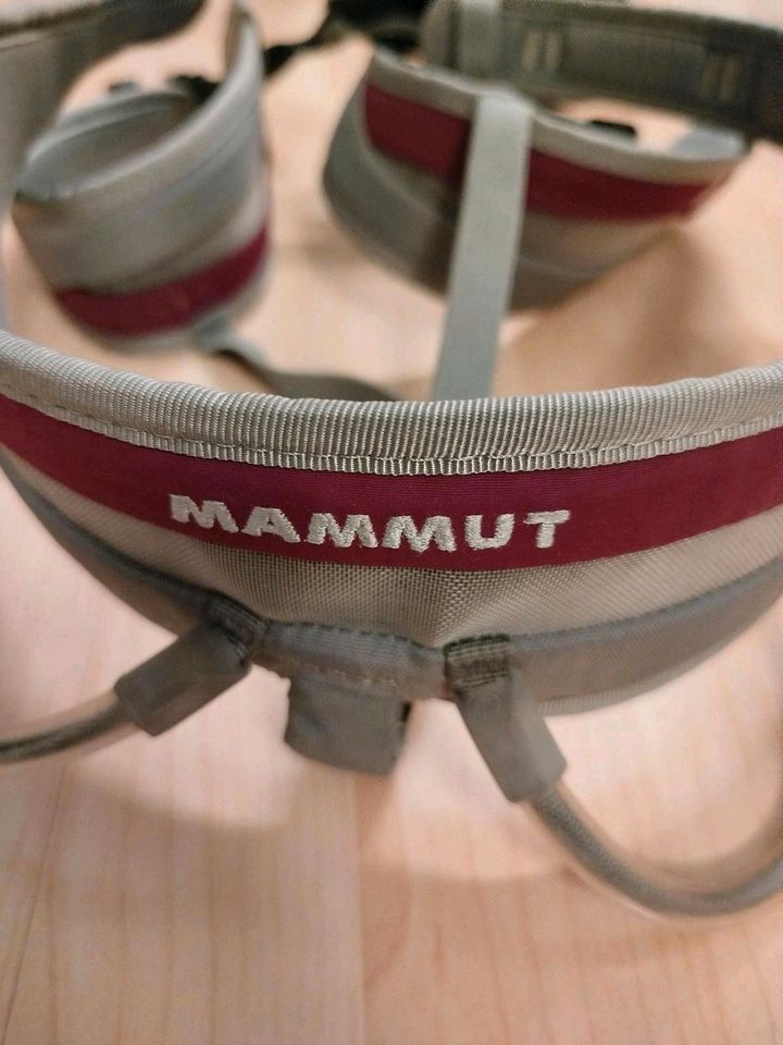 Klettergurt von Mammut, Größe S in Nürnberg (Mittelfr)