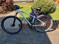 Specialized Mountainbike Hessen - Roßdorf Vorschau