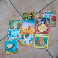 Pixi / Midi Bücher Disney und Märchen Nordrhein-Westfalen - Rheda-Wiedenbrück Vorschau