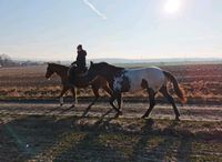 Beritt, Korrektur und Reitunterricht Hessen - Homberg (Efze) Vorschau