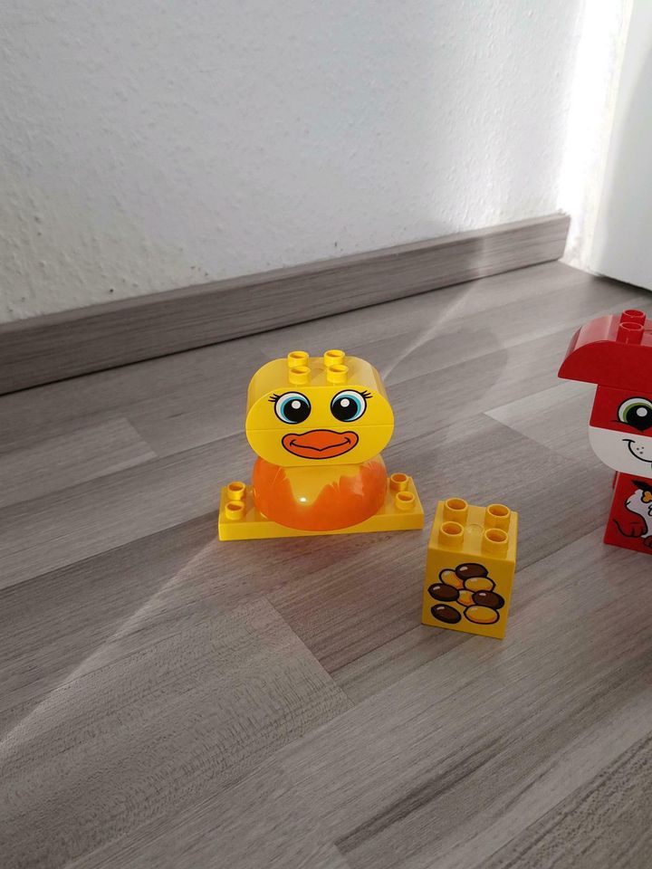 Lego duplo 10858 meine ersten Tiere in Frankfurt am Main