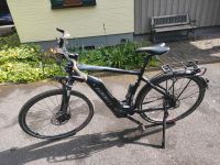 E-Bike Giant Explore E71 Niedersachsen - Holzminden Vorschau