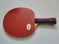 Tischtennisschläger Palio 3S Carbon FL Tischtennis Schläger NEU Hamburg - Hamburg-Nord Vorschau