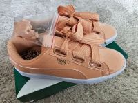 Puma Basket Heart Patent Gr. 39 Schuhe Sneaker Turnschuhe -NEU- Berlin - Steglitz Vorschau