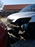 Mazda 2 Schlachtfest Ersatzteilverkauf Niedersachsen - Drakenburg Vorschau