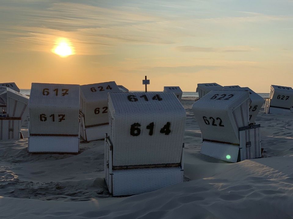 Nordsee Ferienhaus in Hedwigenkoog bei Büsum für 6 Personen in Buesum