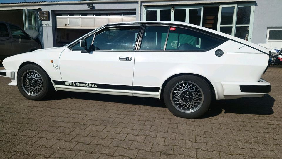 Alfa Romeo GTV6 2,8 Grandprix in Lambsborn