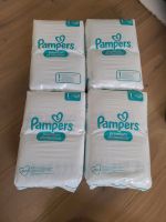 Pampers Premium Protection, Windeln Größe 1 Schleswig-Holstein - Nortorf Vorschau