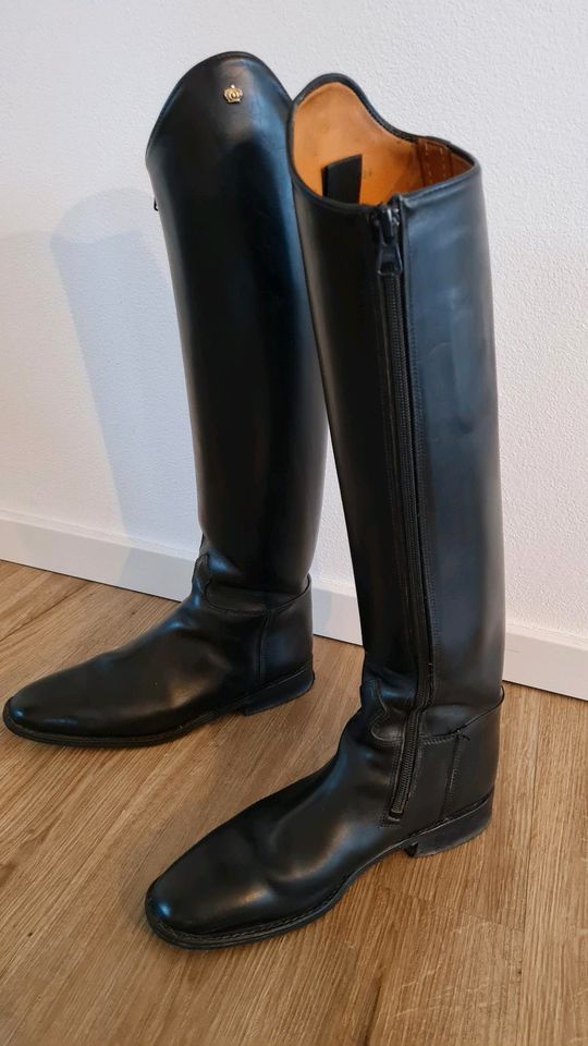 Reitstiefel Dressur Königs Komet Gr. 40 52/34 in Bayern - Schwandorf | eBay  Kleinanzeigen ist jetzt Kleinanzeigen