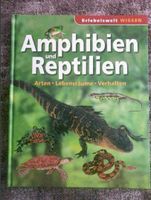 Amphibien und Reptilien von Erlebniswelt Wissen Buch Sachsen-Anhalt - Halberstadt Vorschau