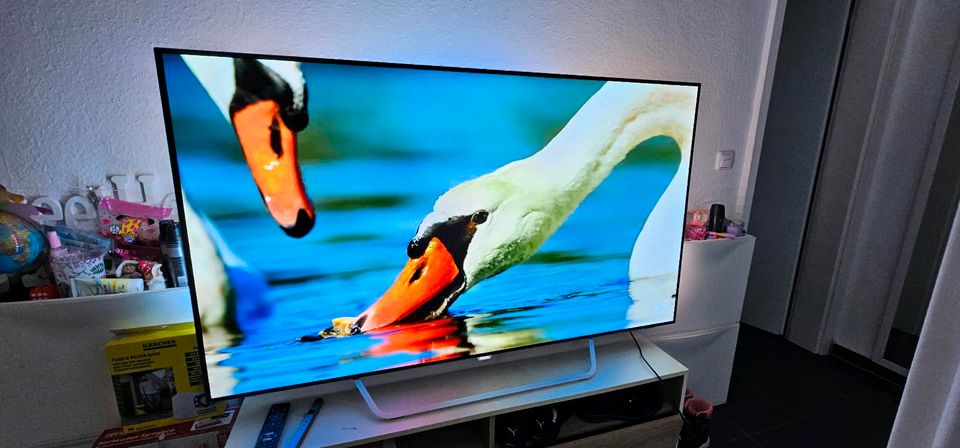 Philips Oled 55"zoll, 55POS9002, Android Tv . in Duisburg