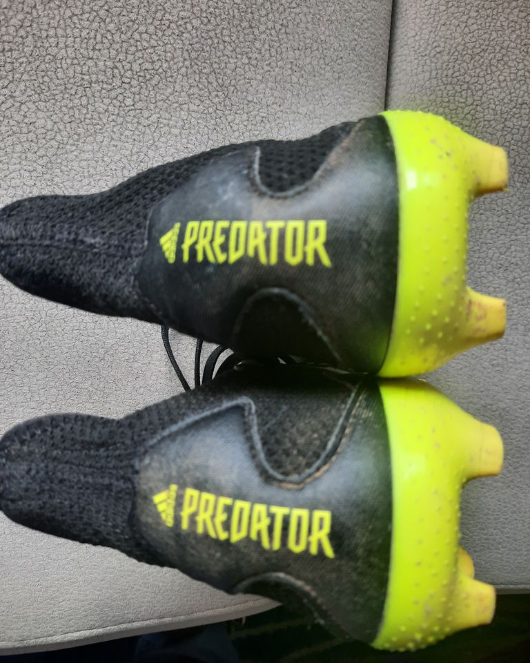 Adidas Predator Fußballschuhe, Stollenschuhe Größe 35 in Gunzenhausen