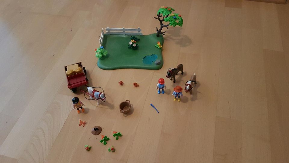 Playmobil County Kutsche und Pony-Reiter in Ratingen