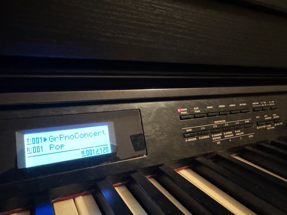 Casio AP 650M E-Piano - Super Zustand in Trostberg