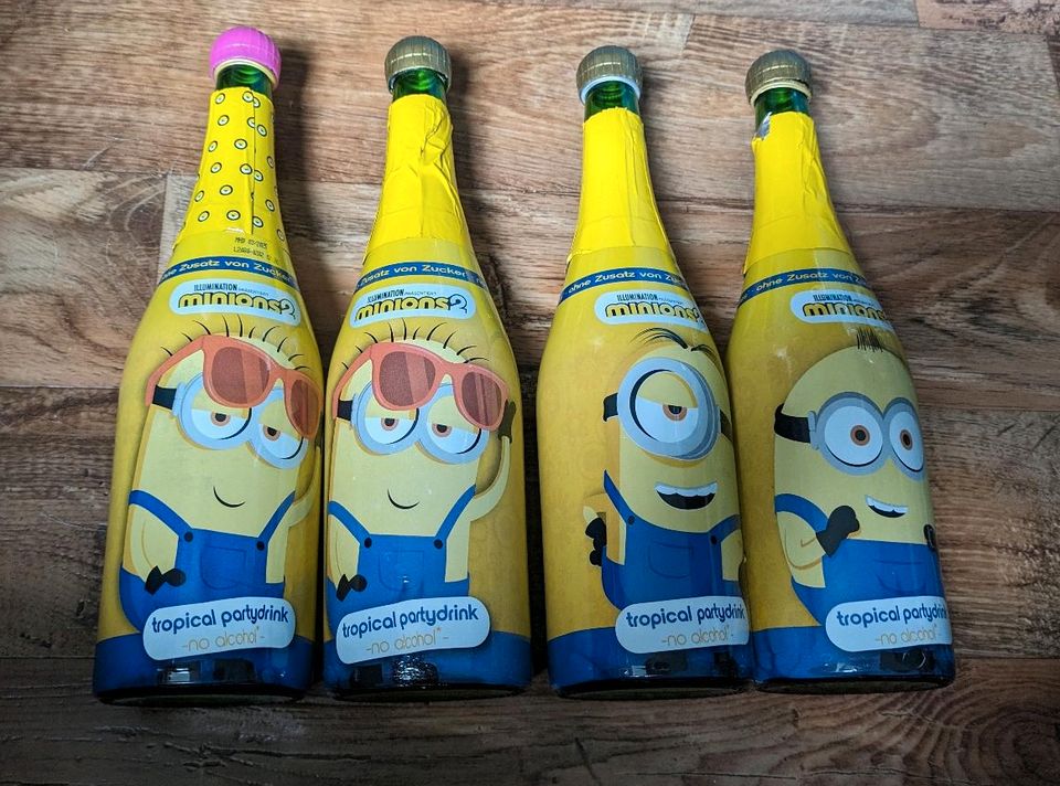 Minion Sammlung, Minionsammlung in Horka