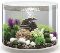 Oase biOrb TUBE 35 LED weiß Aquarium EEK: G, Spektrum: A-G Nordrhein-Westfalen - Dorsten Vorschau