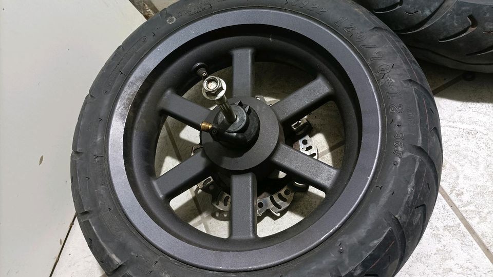 Sachs Speedjet Reifen Felge vorne hinten Hinterreifen Vorderreife in Schrobenhausen