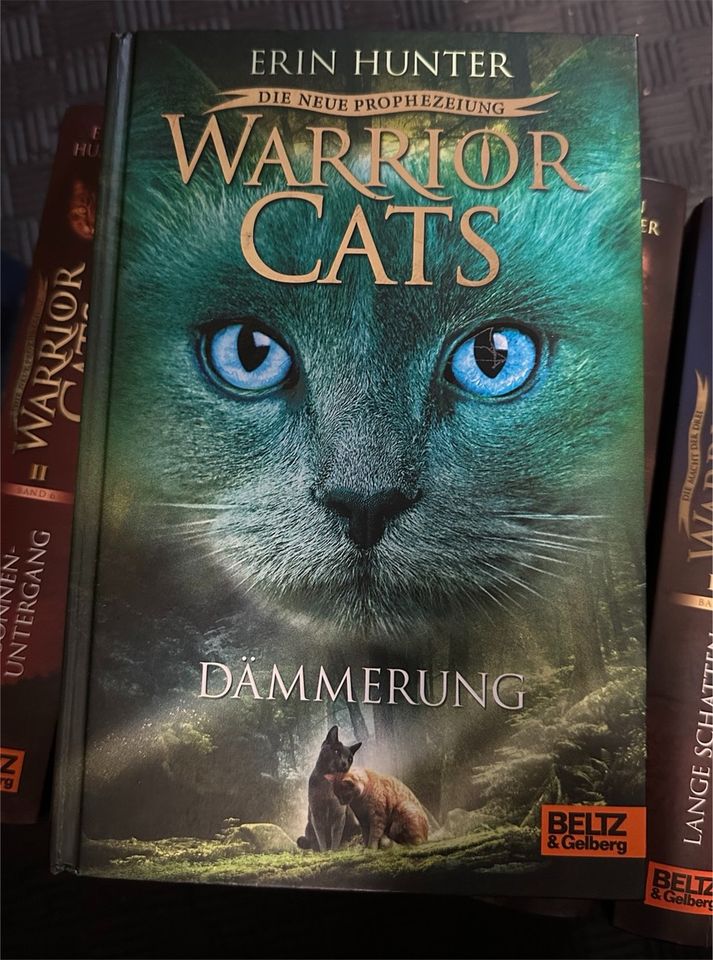 Warrior Cats von Erin Hunter in Detmold