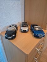 1:18 Audi A4/RS4 Schleswig-Holstein - Glücksburg Vorschau