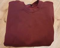 Neues Sweatshirt von ZARA für Herren Niedersachsen - Lohne (Oldenburg) Vorschau