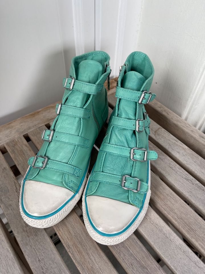 ASH Sneaker High Top Leder Gr. 39 Paarpreis in Hamburg