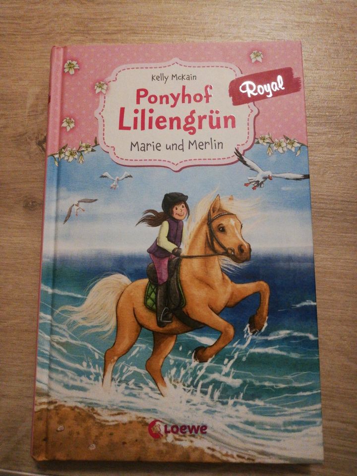 Kinderbücher Ponyhof Liliengrün in Schloß Holte-Stukenbrock