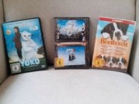 Dvd's Yoko  7 Zwerge 1&2  & Hund namens Beethoven 1-6 Duisburg - Duisburg-Mitte Vorschau