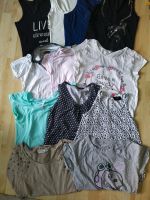 Shirts / Tops / Basics Gr. S Brandenburg - Potsdam Vorschau
