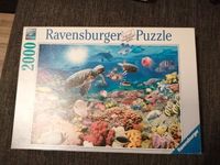 Puzzle 2000 Teile - LEBEN IM KORALLENRIFF - Ravensburger Puzzle Schleswig-Holstein - Itzstedt Vorschau