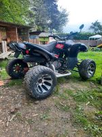 Quad Beeline Bestia 3.3 Nordrhein-Westfalen - Extertal Vorschau