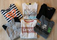 6 Langarmshirts für Jungen Gr. 134/140 - Levi's, Minecraft... Sachsen - Wurzen Vorschau