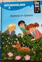 Die drei !!! Bücherhelden 2. Klasse Schleswig-Holstein - Nordstrand Vorschau