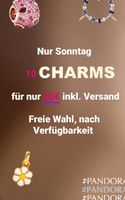 10 Charms Anhänger Versilbert nur 30€ inkl. Pandora geeignet Neu Nordrhein-Westfalen - Freudenberg Vorschau