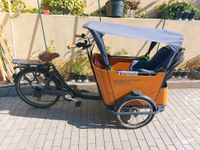 Babboe Curve e bike  lastenrad zu verkaufen Bayern - Moosbach b. Vohenstrauß Vorschau