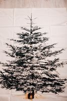 Ikea LIAMARIA Wandbehang Gardine Tannenbaum Rarität Selten Neu Berlin - Lichtenberg Vorschau