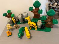 Lego Duplo - Zoo oder Safari Nordrhein-Westfalen - Mechernich Vorschau