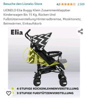 Kinderwagen buggy Schleswig-Holstein - Westerrönfeld Vorschau