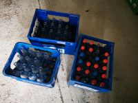 Diverse Glasflaschen (Mehrweg) mit 3 Kisten zu verschenken Schleswig-Holstein - Wrist Vorschau