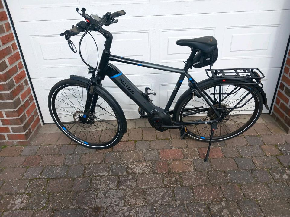 E Bike pegasus premio  10 in Haren (Ems)