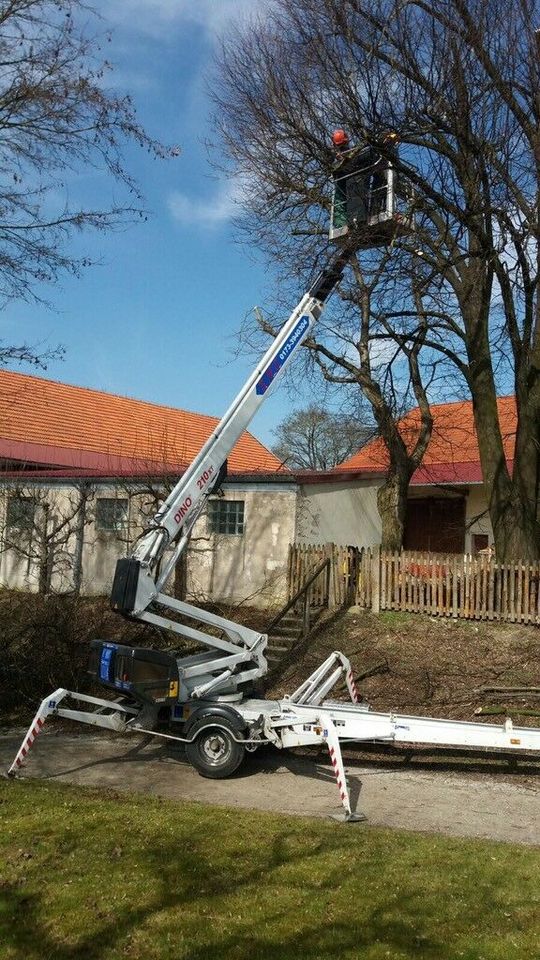 Hebebühne Arbeitsbühne Baumpflege Dino xt 210 in Wörth Kr. Erding